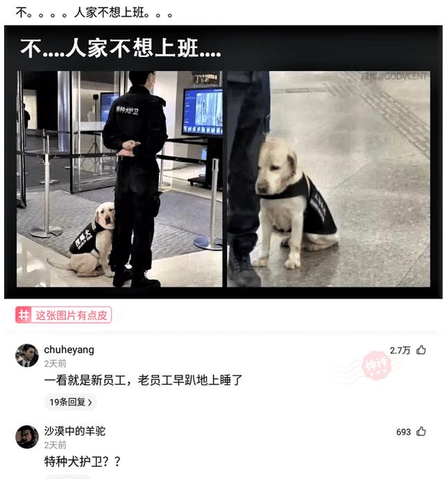 判刑三年缓刑两年是什么意思(判处有期徒刑两年，缓刑三年是什么意思？是一共坐五年牢吗？)