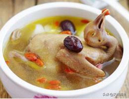 养殖鸽子的利润及成本(一年养300对肉鸽能挣多少钱？)