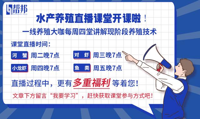 室内养殖项目骗局(室内养殖小龙虾究竟是不是骗局？冬季来临，小龙虾养殖户需谨慎)