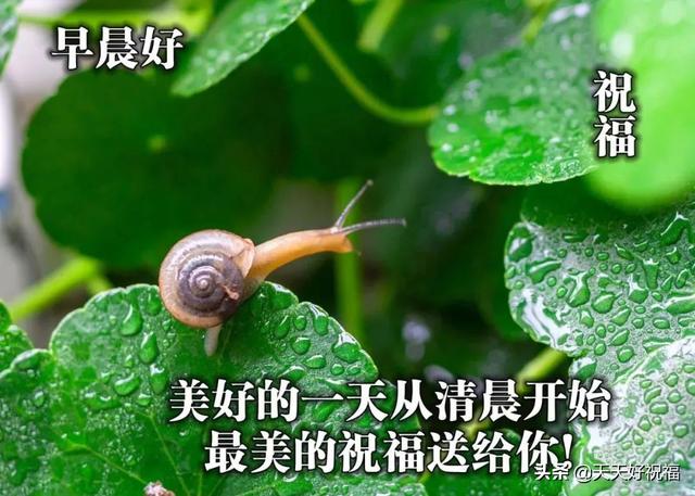 高字最好看的图片大全(最新漂亮春天早安图片带字 2022新版微信早上好问候语风景图片精选)