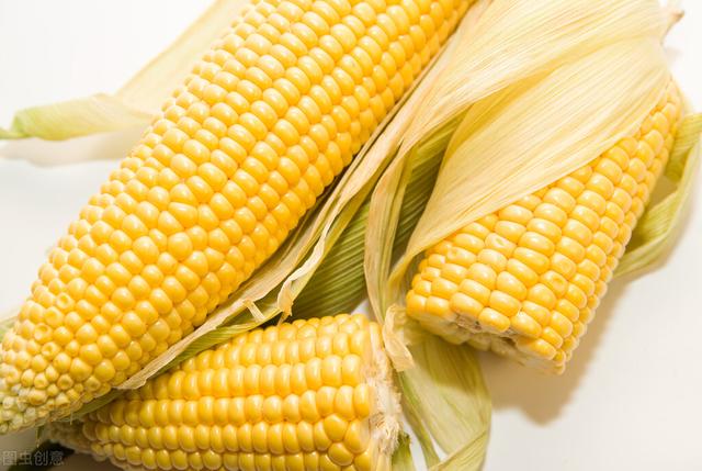 2022适合春播的鲜食玉米3款新品种！口感非常棒，高产，商品性好(鲜食玉米)