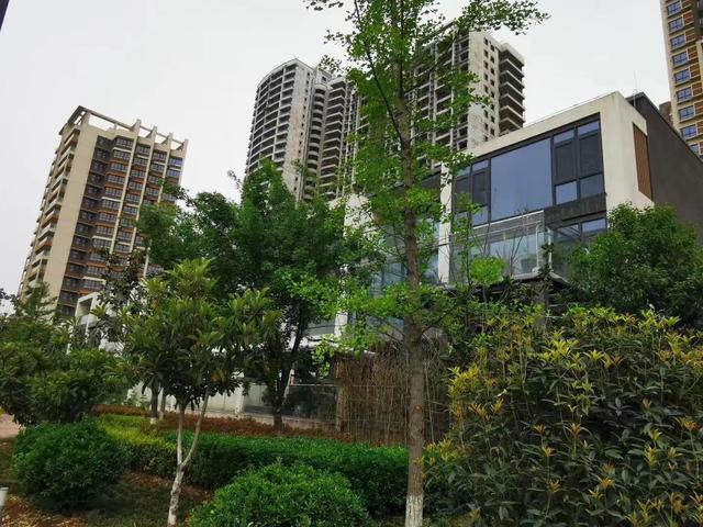 房产过户需要什么手续费(房产过户需要什么手续和费用)