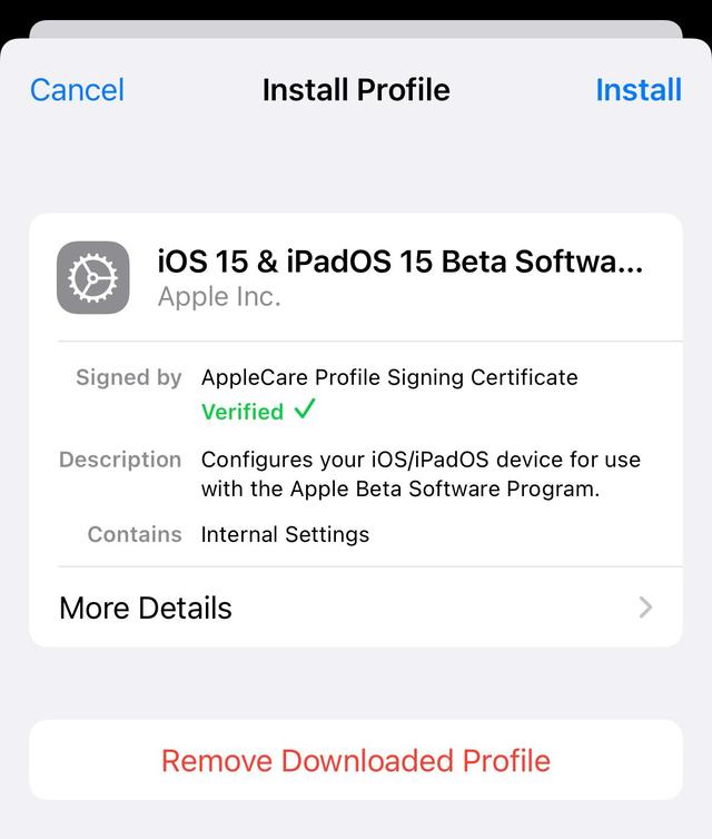 苹果开发者选项怎么开启(教大家下载iOS 15开发测试版，毕竟早用早享受)