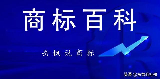 如何做商标查询(干货！岳枫手把手讲解商标如何查询详细步骤)