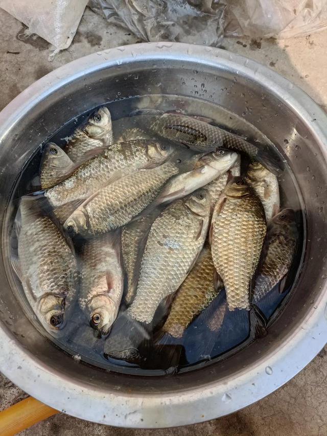 15万存银行一年利息多少死期(都怪我嘴快，给我同事说了有六万存款，这下人财两空了)