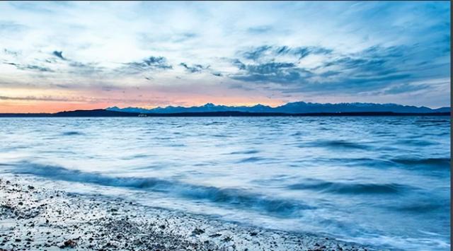 网络工作室项目(武汉智慧营MCN传媒自媒体项目招商，工作室人均产值5万)