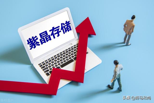 紫晶存储公司怎么样(上市即巅峰！紫晶存储成为科创板第二家ST公司，怎么回事？)