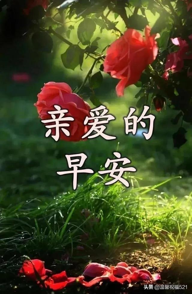 打造有吸引力的朋友圈图片早安(特有创意冬日清晨早上好图片带字带祝福语 朋友圈早安问候语图片)