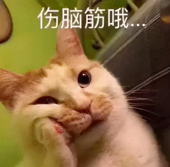 微信如何设置支付顺序而不是优先(“双十二”来袭，醒醒！别沉浸在商家的甜蜜圈套里了)