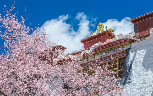 途那些旅游网(《国家地理》评选丨中国一生必去的50个地方（附最佳旅游季节）)