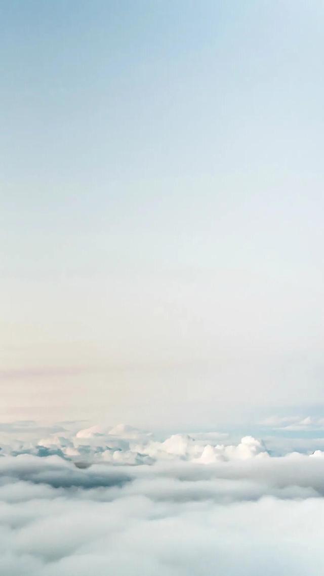 背景图纯白 白色(满树花儿开)