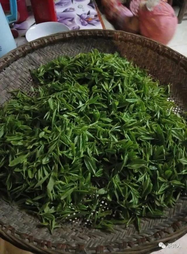 现在做茶叶生意好不好做(做茶真的很暴利吗)