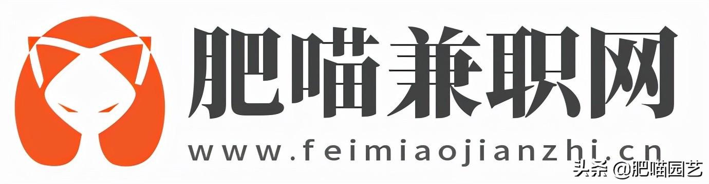 网上兼职赚钱正规平台(网络兼职投放｜手机网上兼职平台｜免费不花钱的在线兼职平台)