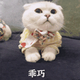 目前开什么公司比较好(工资待遇最好的top10，你的工作上榜了吗)
