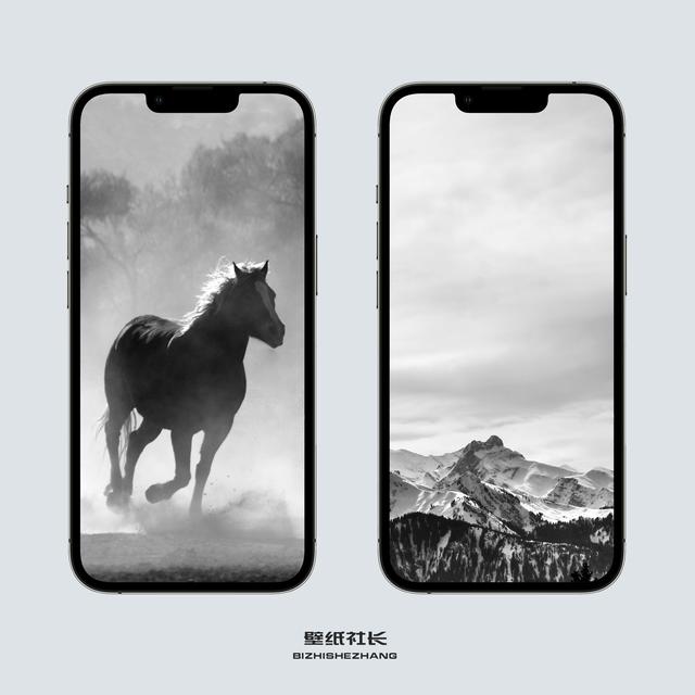 高清纯白色壁纸(iPhone13Pro及ProMax白色系手机壁纸)