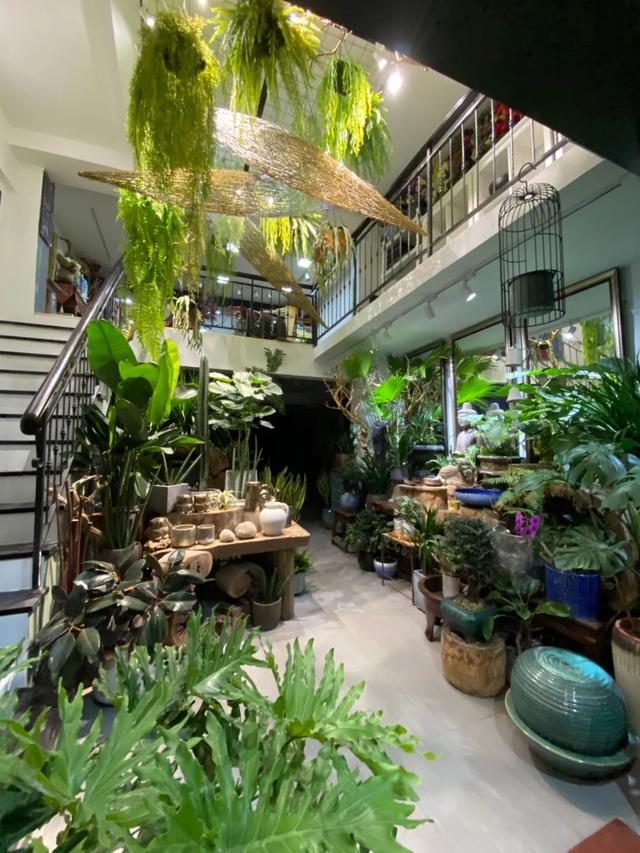 仿真花店有市场前景吗(深圳这家老花店已经开了26年，佛系经营却玩转“复古”与“新潮”风)