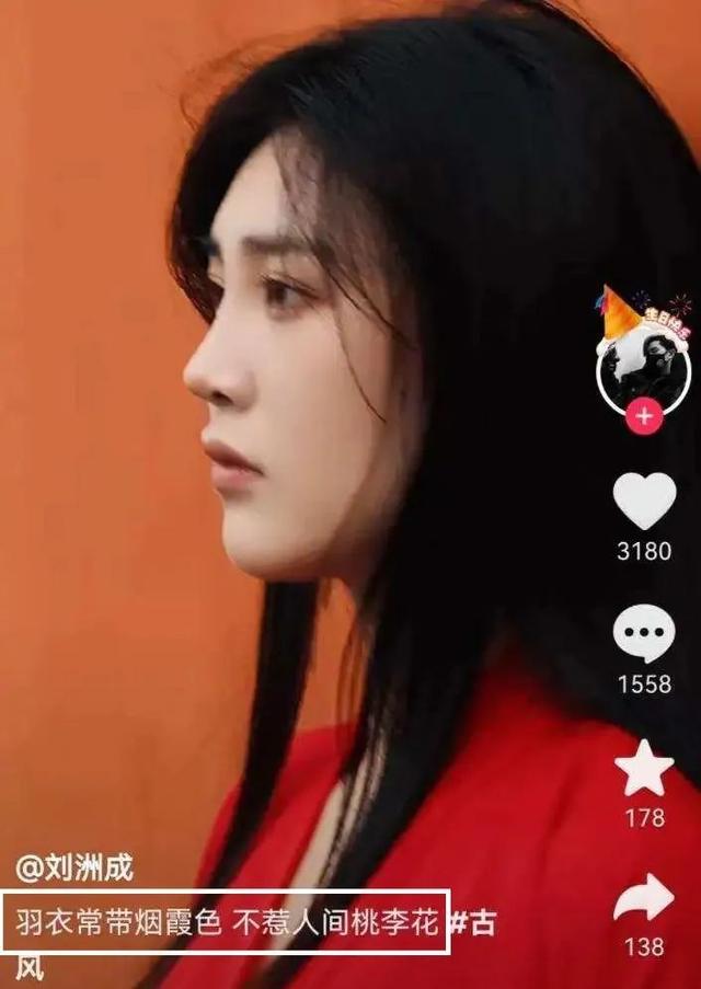 刘洲成现任女友(“家暴男”刘洲成官宣新女友，女方评论：大家好，我是新沙袋)