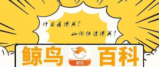 进口清关是什么意思(鲸鸟物流百科温馨提醒您：清关是什么？如何快速清关)