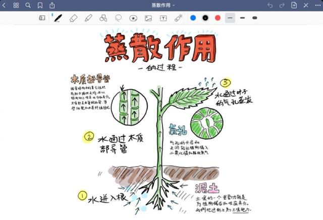 搭配衣服的软件男学生(秒变学霸！8款拯救学生党的笔记APP)