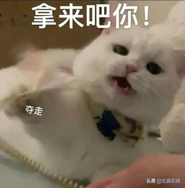 科颜氏保湿霜真假辨别(科颜氏高保湿面霜真假辨别)