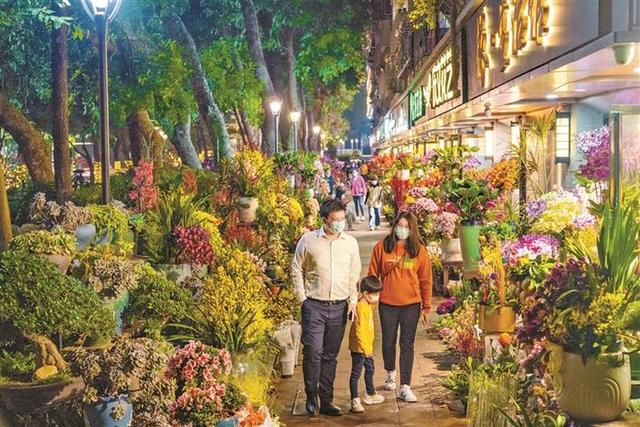 深圳花卉市场批发市场(深圳迎春花市怎么逛，去哪逛)