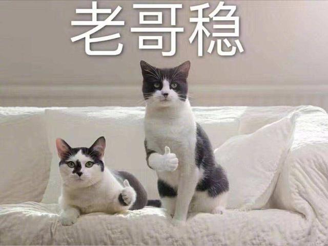 题设是什么意思(考研初试来了，考场上，要做到“稳”、“智”、“细”)
