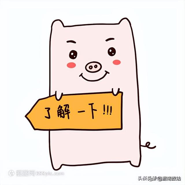 民法典规定耕地的承包期为多少年(《民法典》涉及农村集体、承包地、宅基地等条款汇总)