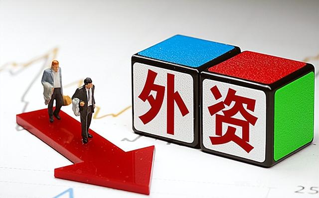 外资企业法及其实施细则规定外资企业的组织形式为(外资企业认定的有关法律是什么)