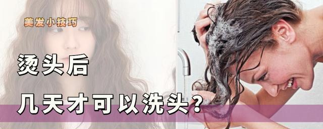 头发染多少分钟可以洗头(烫发后几天洗头最好？第一天洗去味，第二天洗去碱，超过三天伤发)