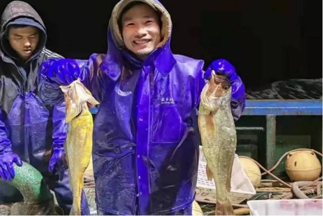 打鱼挣钱吗(宁波渔民一网鱼赚957万！野生大黄鱼已经濒危，为何还允许捕捞？)