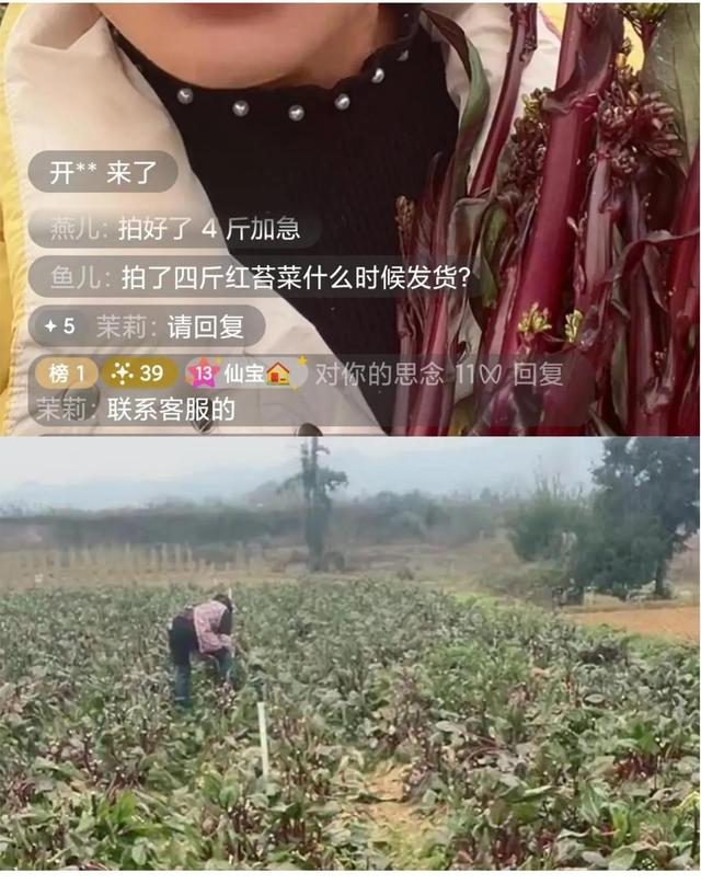 新手直播带货流程(新手怎么直播带货，这几招教你一路长虹，直播带货技巧，新手看齐)
