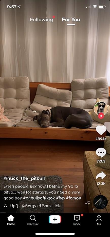 海外购物app有哪些(除了TikTok，海外竟然还有那么多火爆的短视频平台)