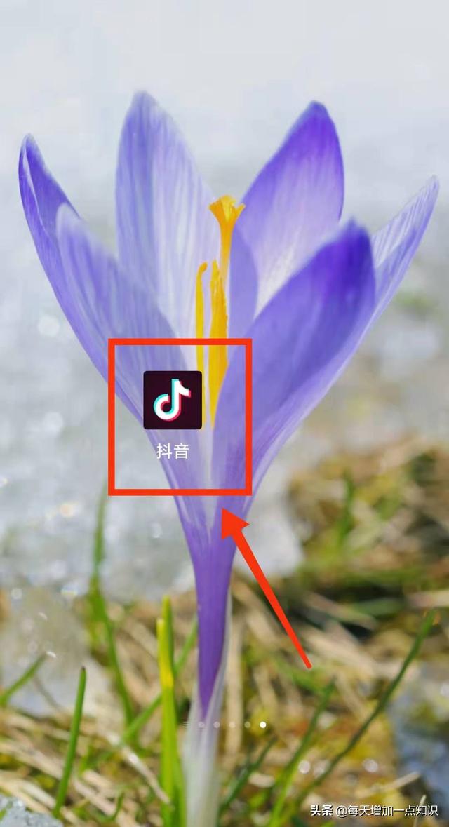 苹果手机怎么查看抖音访客记录(怎样开启抖音的主页访客功能)