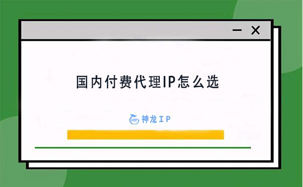 国内代理ip软件价格(国内付费代理IP平台怎么选)
