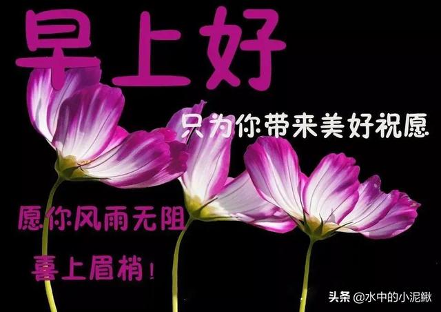 朋友圈怎么发动态图(适合早上发朋友圈特别正能量的说说，清晨早安表情动态图)