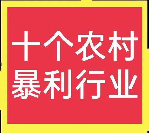 知道合伙人怎么赚钱(十个农村赚钱好门路，总有一个适合你)