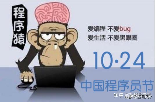 码农之路——09 什么是程序员(胡伟武汉大学)