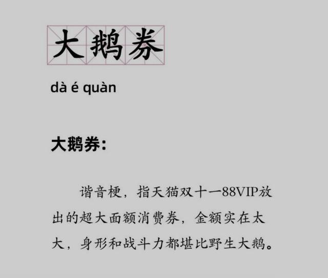 天猫购物券如何使用说明(天猫双11到了！88VIP们，你的“大鹅券”用了没？)