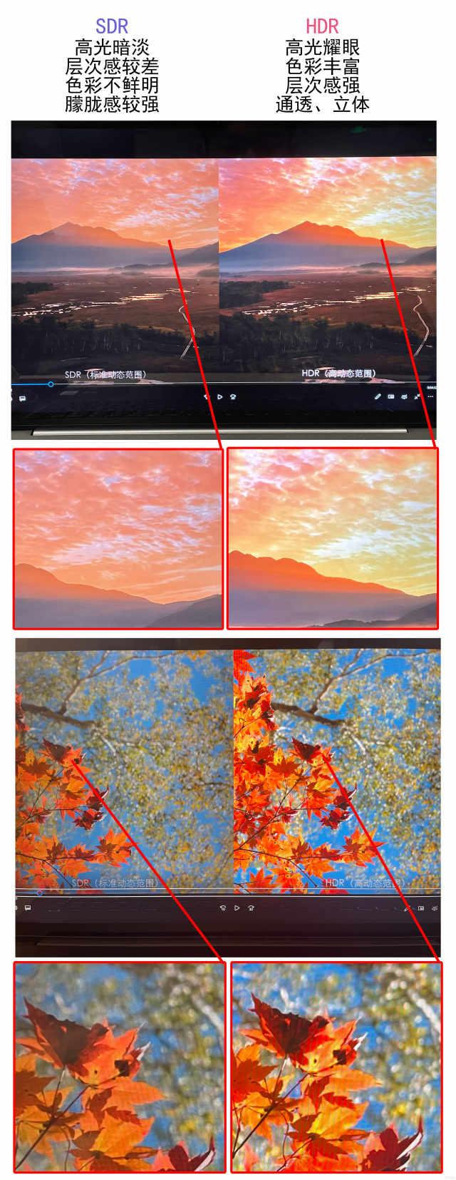 hdr视频和普通视频区别(我以为4K视频就很逼真了 结果被HDR打了脸)