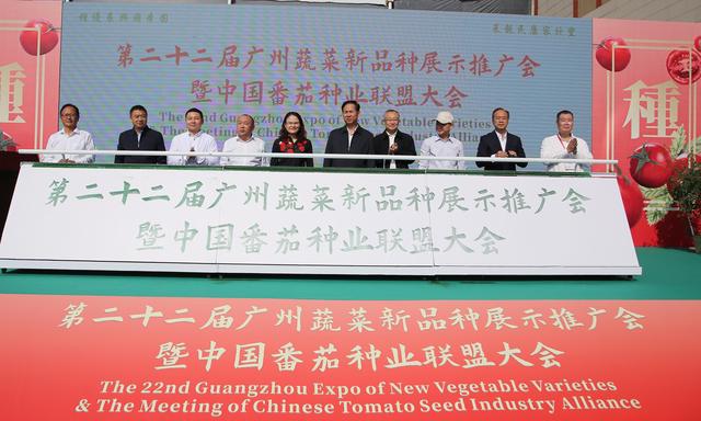 广州现在适合种什么蔬菜(1209种新品蔬菜亮相广州这场展示会！番茄多达781种)