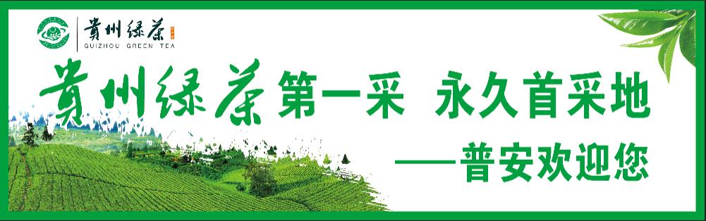 商铺出租告示样本(门面及房屋出租公告——贵州省普安县城市开发投资有限公司)
