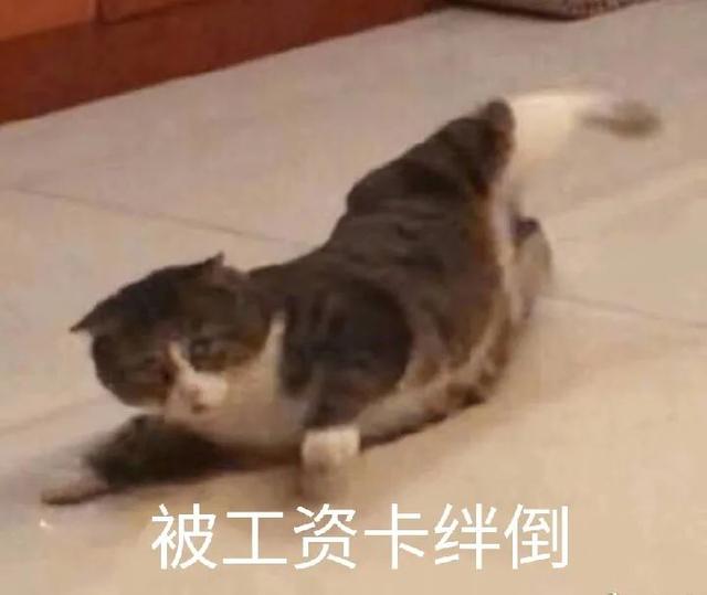 包就业的培训机构真的假的(毕业生必读！警惕“培训贷”陷阱)