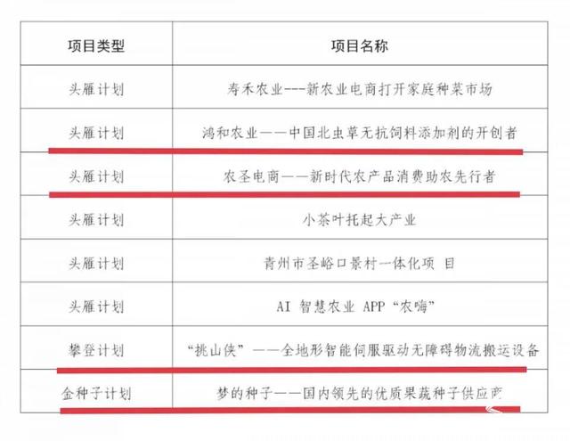 创新创业项目计划书范文案例(潍坊科技学院4个项目入选团中央2021年“创青春”中国青年创新创业项目支持计划)