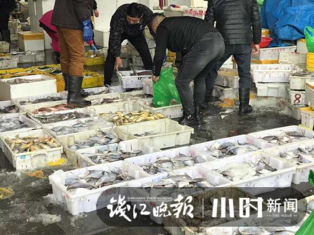 批发衣服最便宜2到5元(5块钱能在杭州水产市场买到啥？节后东海海鲜复盘，放量便宜卖，还有海鲜盲盒)