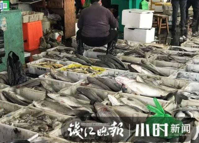 2元店批发市场在浙江哪里(5块钱在杭州水产市场能买啥？原来竟有不少选择)