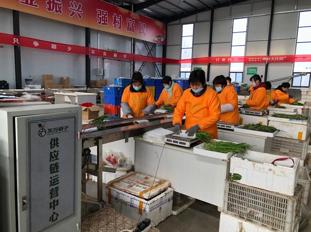 农产品直销(从地头到餐桌，农产品直采直销网络助力现代农业)