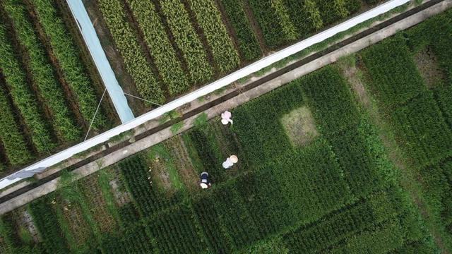 上架后商品过期不存在什么意思(2022年中央一号文件发布！要点速读)