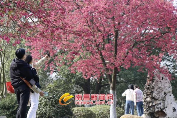 火车票提前多少天可以买2021(正式官宣！南昌提早7天)