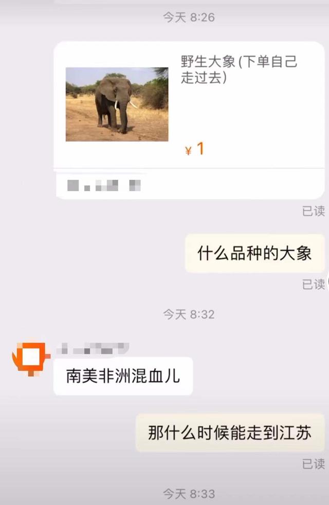tbao淘宝网 注册(1.11元网购野生大象200天后“自己走上门”？律师分析)