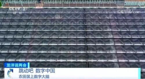 服装订单网app(跳动吧，数字中国)
